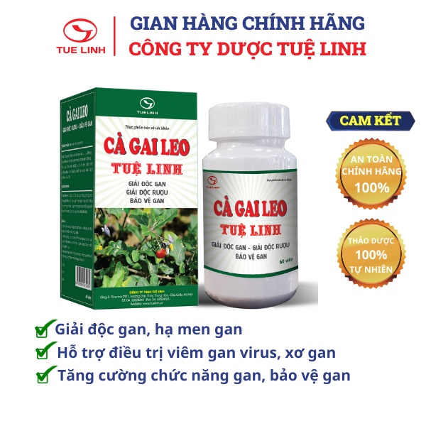 ✅Cà Gai Leo Tuệ Linh [Chính hãng] - Giúp bảo vệ và tăng cường chức năng gan, giải độc gan, ngừa xơ gan - Hộp 60 viên