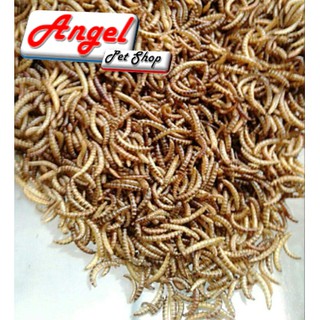 Sâu gạo cho hamster, nhím, sóc