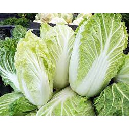 Cải Thảo Tươi Ngon Giao Siêu Tốc 1h