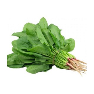 5 gram Hạt giống cải Bó xôi