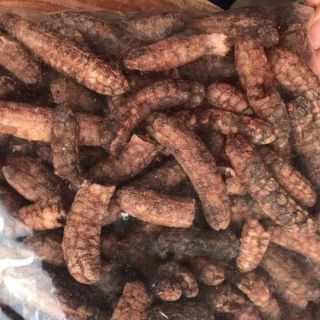 chuối hột rừng chín 1kg loại rời
