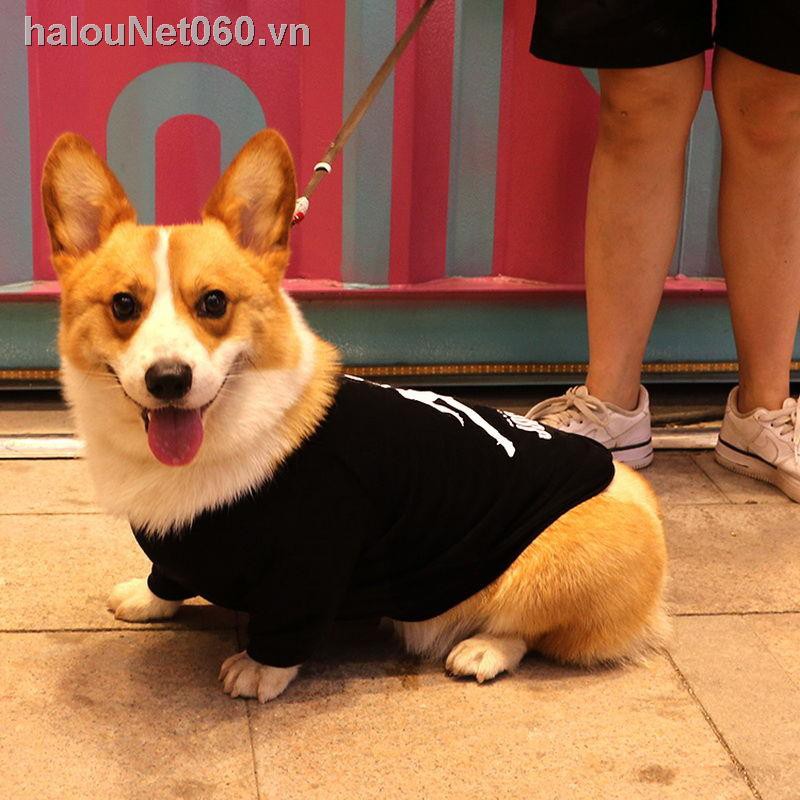 Áo Thun In Hình Chú Chó Corgi Dễ Thương Cho Thú Cưng