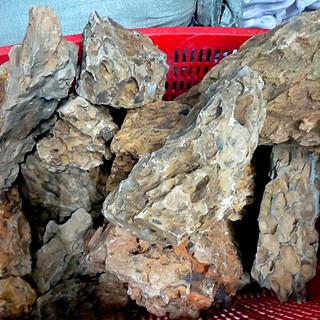 Đá Tiger Setup bể Cá cảnh, bể Thuỷ sinh (1kG)