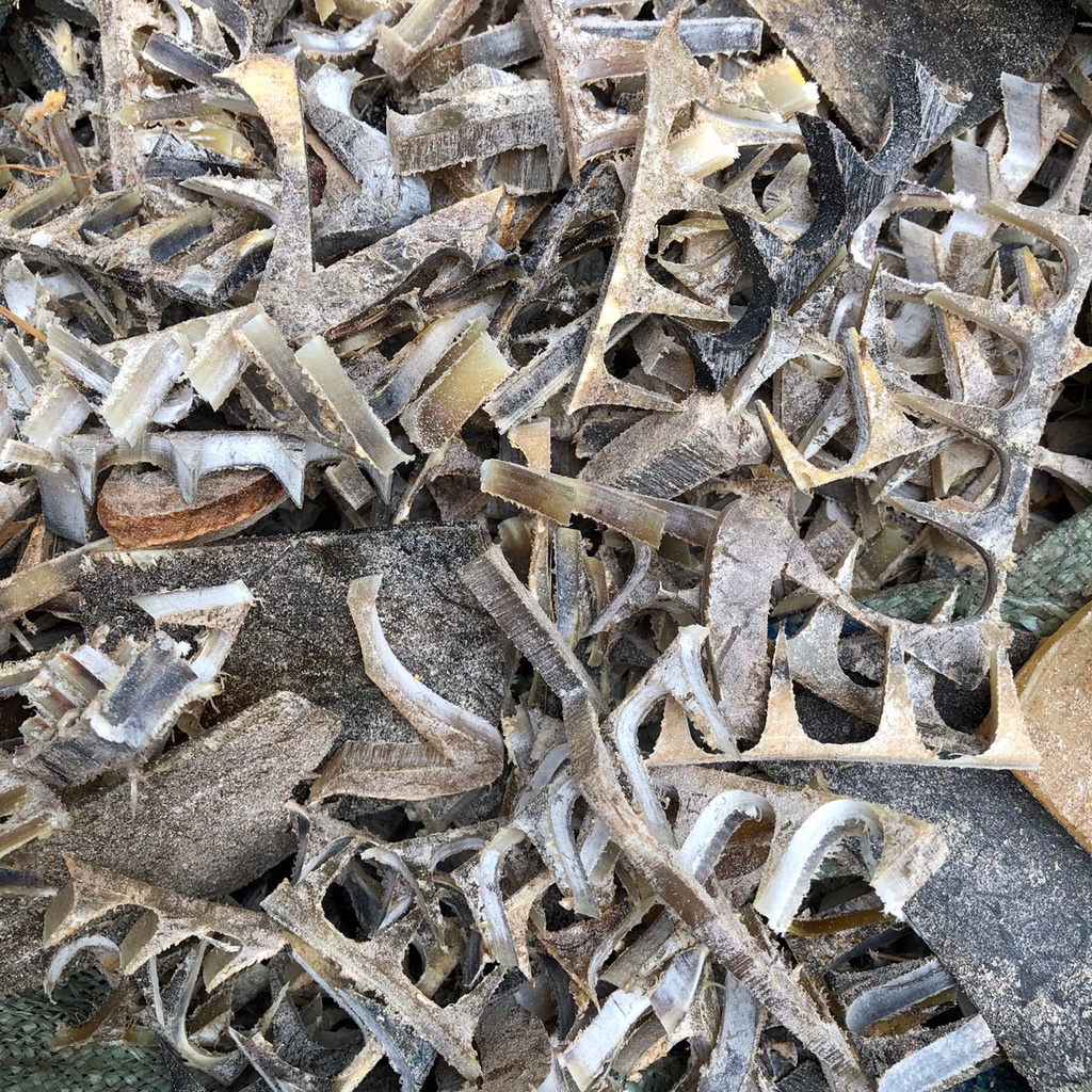 Nẹp sừng trâu bón cây cảnh, ăn quả, rau sạch