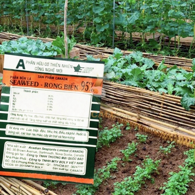 Rong Biển- Phân bón lá hữu cơ khoáng Seaweed 95%  . Nông Dược Xanh