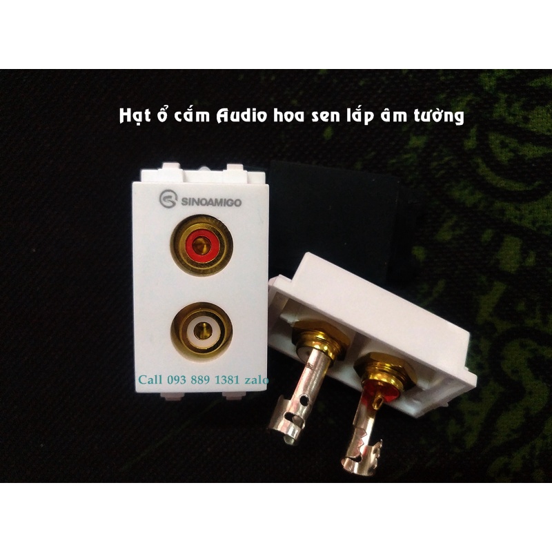 Nhân ổ cắm Audio Jack 3.5mm đầu hoa sen (dùng lắp mặt nạ panasonic âm tường)