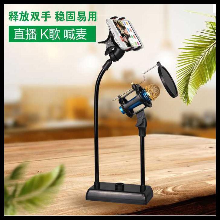 Giá Đỡ Micro Có Bộ Lọc Âm Thanh Dm-722 | BigBuy360 - bigbuy360.vn