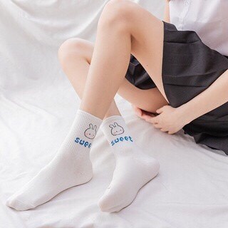 Set 5 Tất cổ cao, vớ cổ cao Liastore nữ trắng họa tiết xinh xắn cotton co giãn Hàn Quốc
