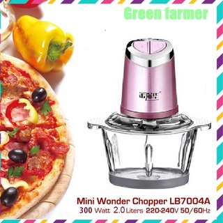 Máy bóc vỏ tỏi, xay thực phẩm đa năng, cối 2 lít thuỷ tinh