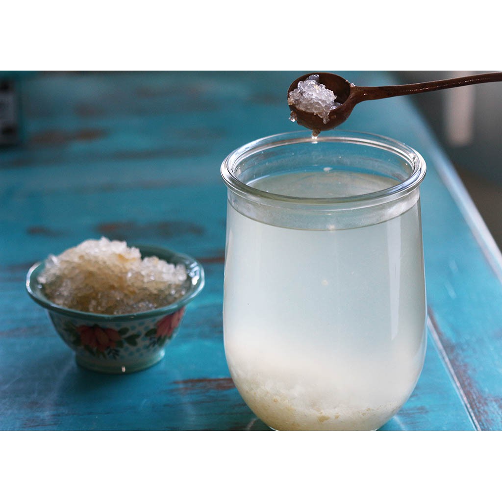 NẤM NƯỚC WATER KEFIR LÊN MEN NƯỚC DỪA/ ĐƯỜNG MÍA CÓ GA THƠM NGON KHỎE ĐẸP AN TOÀN