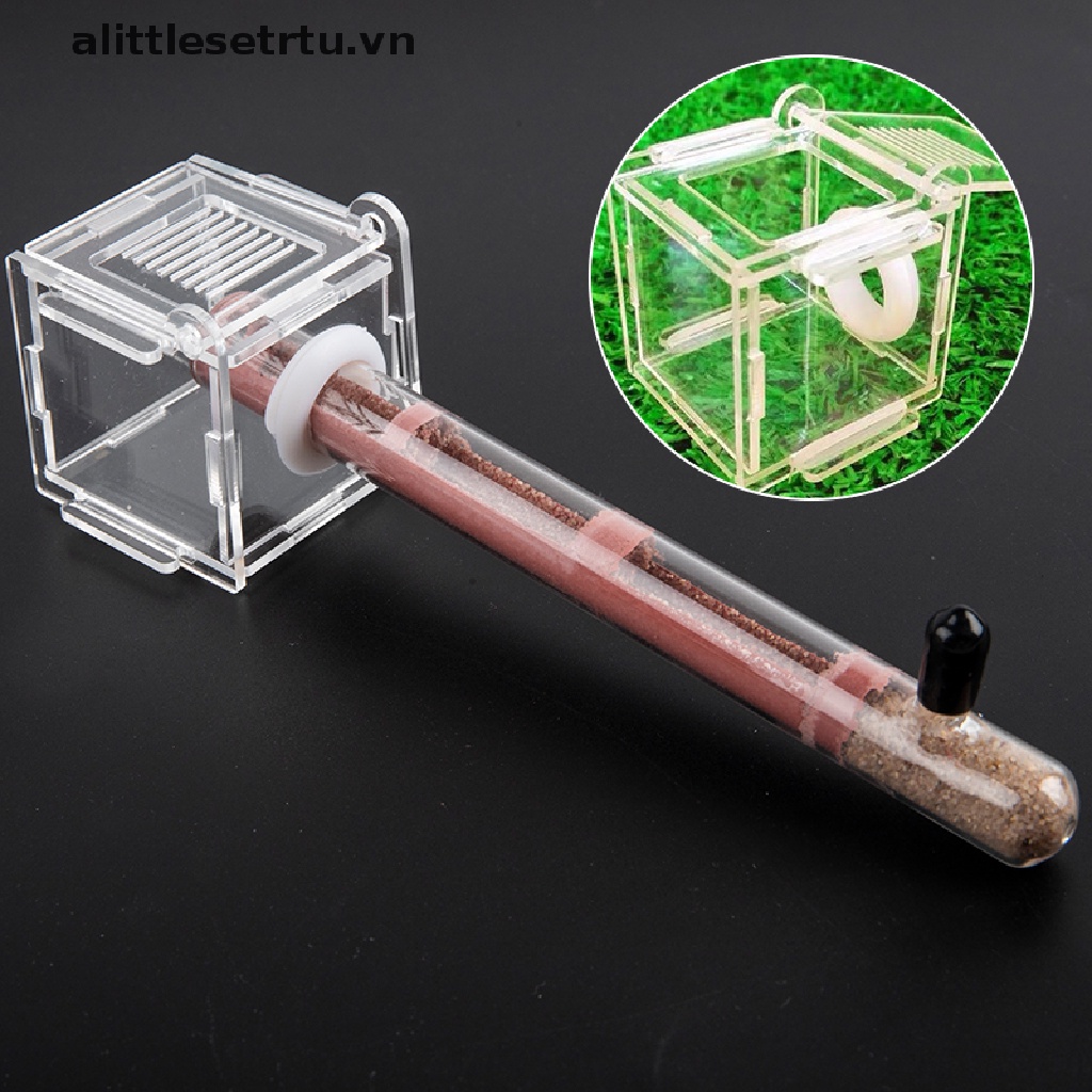 [alittlesetrtu] Ống Tre Đựng Kiến Nông Trại DIY Thân Thiện Với Môi Trường + Giá Đỡ Cho Cửa Hàng Làm Việc