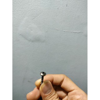 100 con ốc vặn loa kéo , Ốc loa kéo