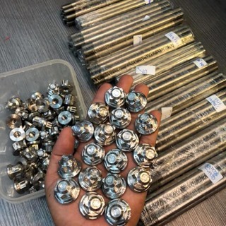 Tán đầu pít 10ly 12ly inox salaya