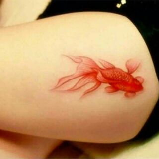Hình xăm dán tattoo