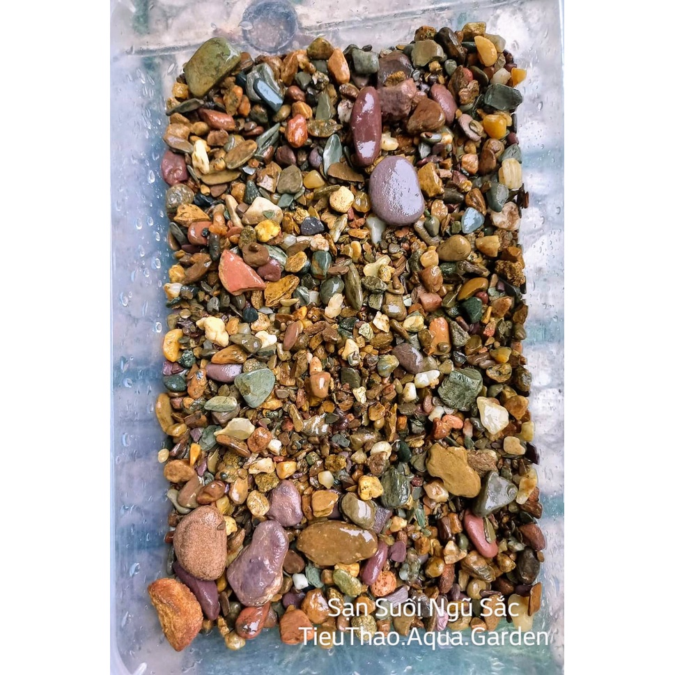 Sạn Suối Ngũ Sắc - Sạn Suối Đỏ - Sạn Suối Xám | Bao 200g - 500g - 1kg | Trang Trí Nền Hồ Biotop- Hồ Cá Cảnh..