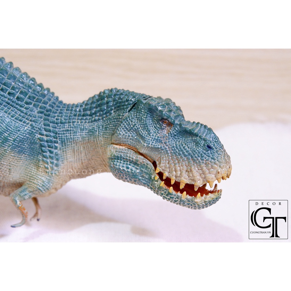 Mô hình Khủng Long T-rex - Dành cho trẻ 3 tuổi trở lên