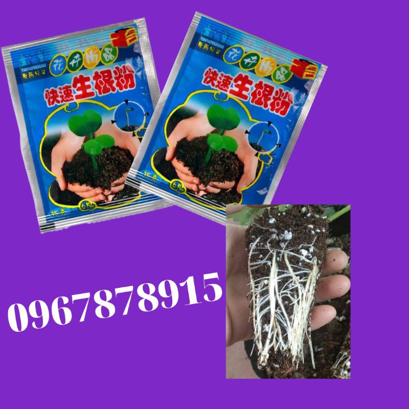 Kích rễ 100 gói