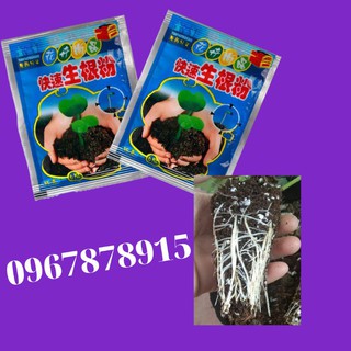 Kích rễ 100 gói
