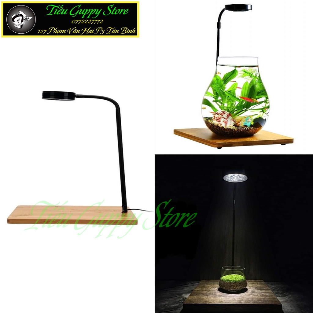 Đèn Led Kèm Đế Gỗ Chuyên Dụng cho Hồ Cá, Bể Thủy Sinh Tiểu Cảnh Nhỏ, Hồ Cá Mini, Hồ Cá Tròn ...