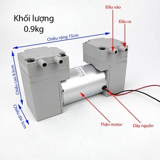 Máy bơm chân không đôi 12vdc/220vac màu trắng