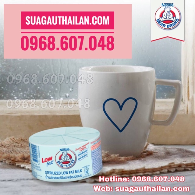 Sữa Gấu Thái Lan - Sữa Tăng Cân Nestle | BigBuy360 - bigbuy360.vn