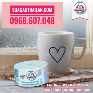 Sữa Gấu Thái Lan - Sữa Tăng Cân Nestle