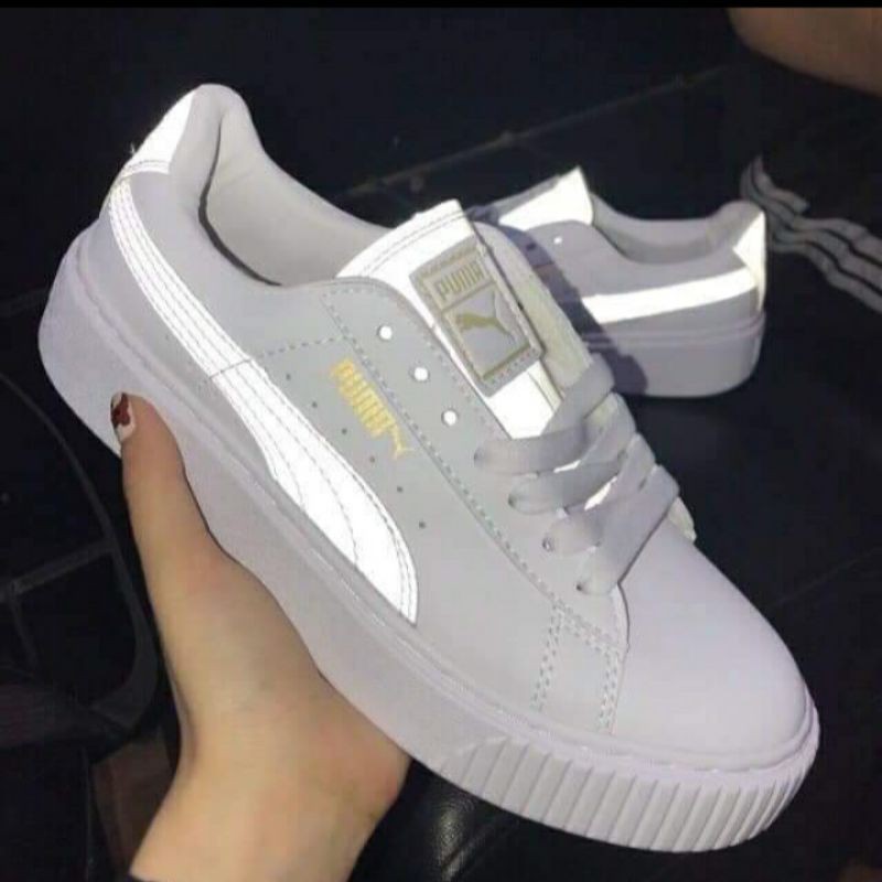 Puma nhiều màu