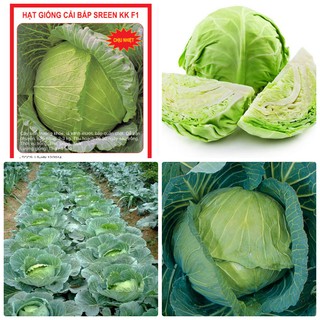 Hạt giống cải bắp F1 - 1 gr