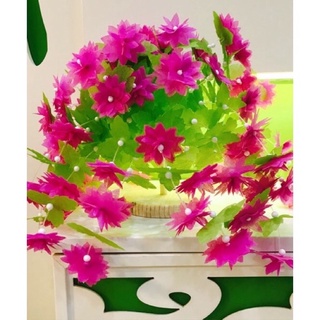 Hoa giay lua bộ lớn