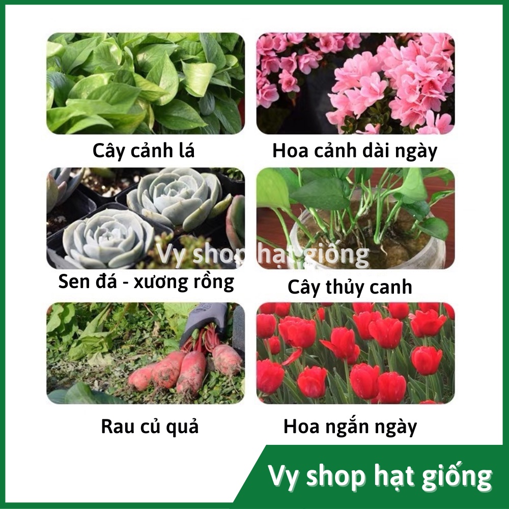 50 thẻ ghi tên cây - tag tên cắm hình tim nhiều màu loại dày, kích thước 4,5x9cm