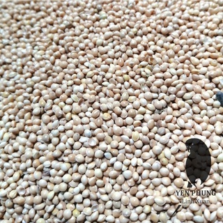 1Kg hạt kê trắng cho chim cảnh