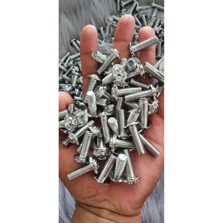 ốc đĩa salaya mẫu mới