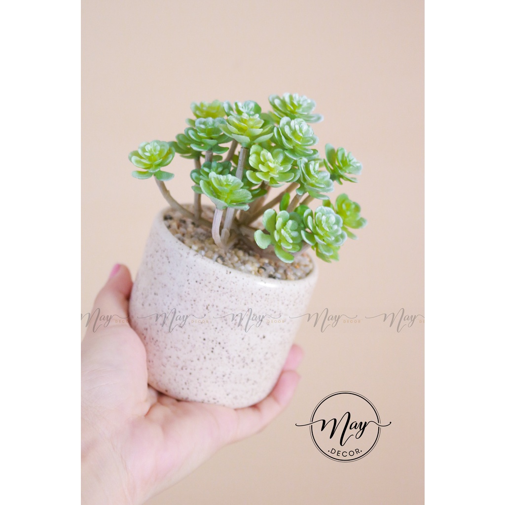 Cây giả,Sen đá tầng giả trang trí chậu vân gốm cát