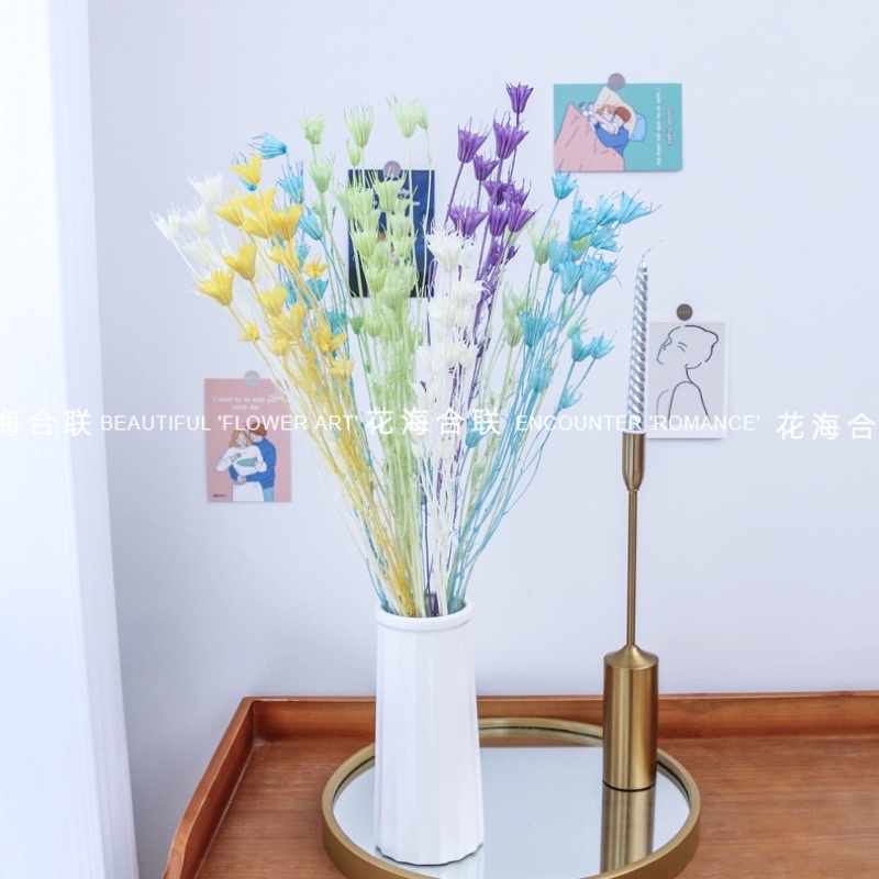Hoa khô trang trí hoa bát giác khô 8 cánh Nigella, nhiều màu trang trí bàn làm việc, chụp hình dễ thương, làm đồ hanmade