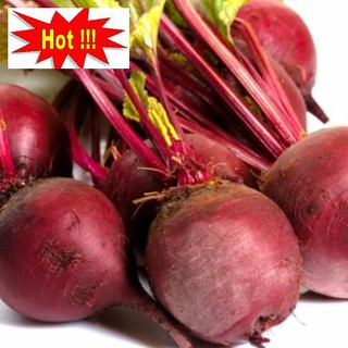 Hạt giống Củ dền