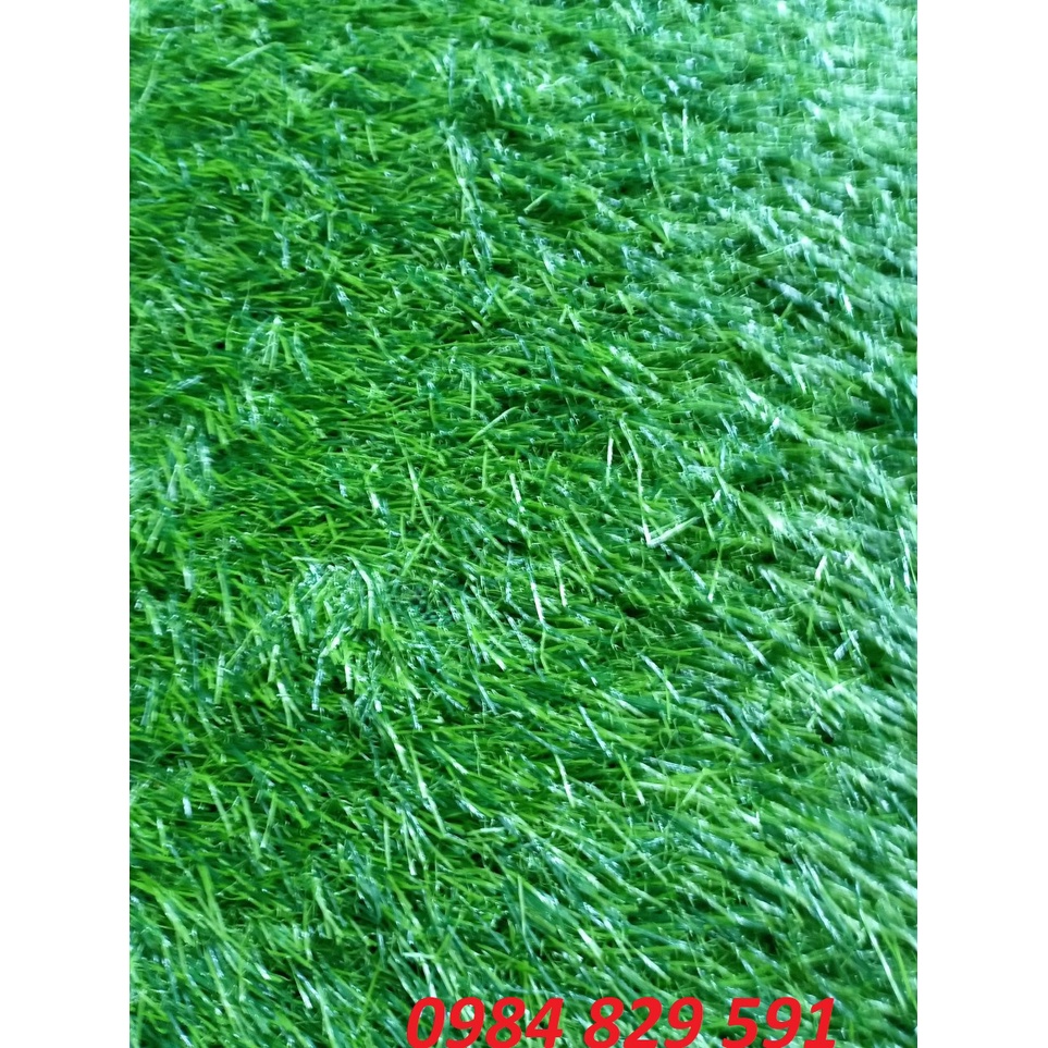 Cỏ Sàn, thảm Cỏ Nhân Tạo Sân Chơi Cao Cấp Ngọn Cao 3cm (khách mua sỉ vui lòng Chat hoặc liên hệ Zalo với shop)