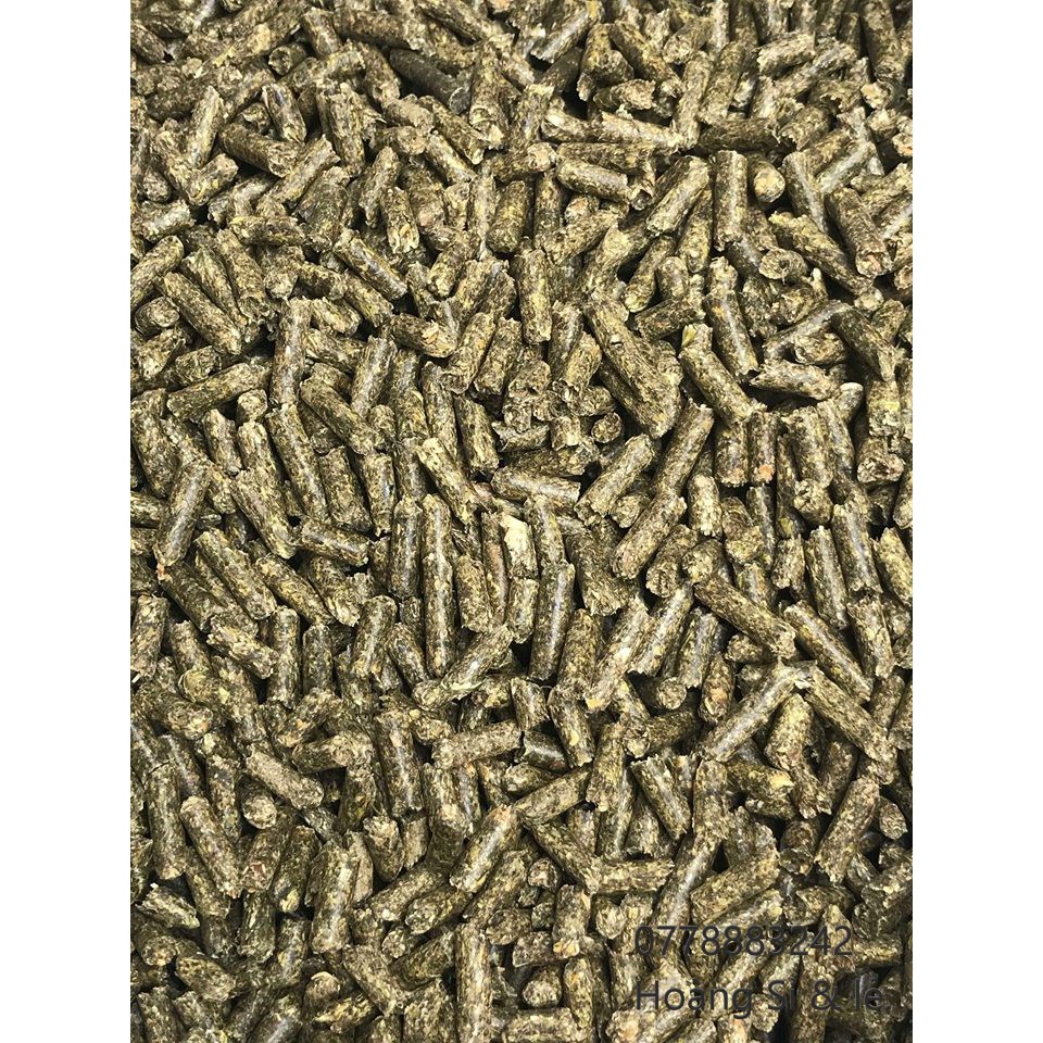 Cỏ linh lăng Alfalfa (4ly) dành cho gà đá, thỏ, bọ - Pet Food Store.