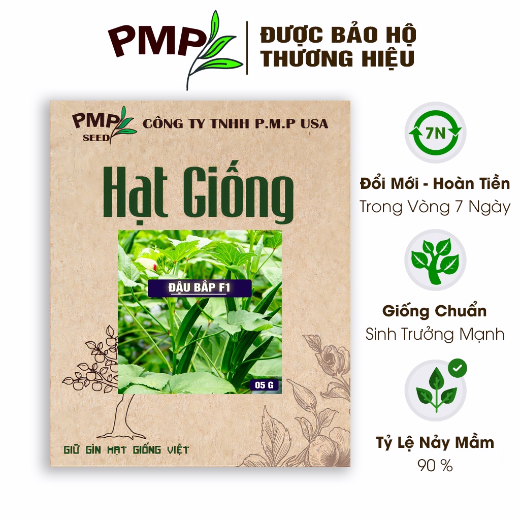 Hạt Giống Đậu Bắp Xanh PMP