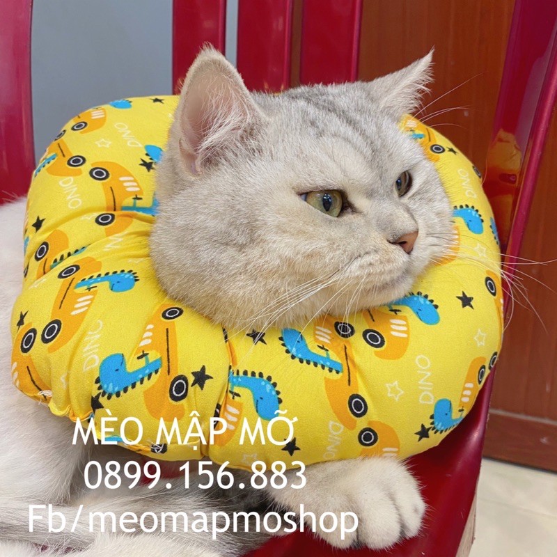 VÒNG GỐI CHỐNG LIẾM CHÓ MÈO