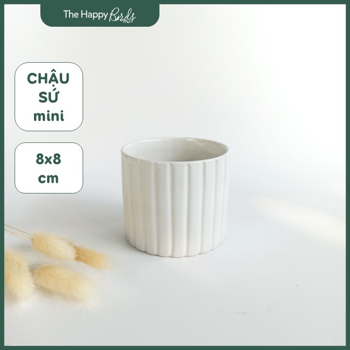 Chậu sứ mini trồng sen đá, xương rồng 8x8cm để bàn màu yến mạch và trắng, trơn và có vân dọc