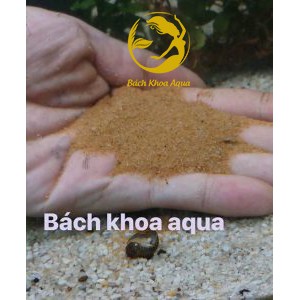 Cát nắng vàng mịn thủy sinh