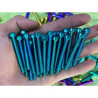 Ốc 6li trụ Titan Gr5 , ốc 6li (10-40)