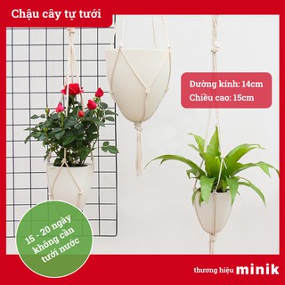 Chậu trồng cây tự dưỡng MINIK, dây thừng treo decor độc đáo, hình trứng, chậu thông minh tự tưới, size 14cm x 15cm