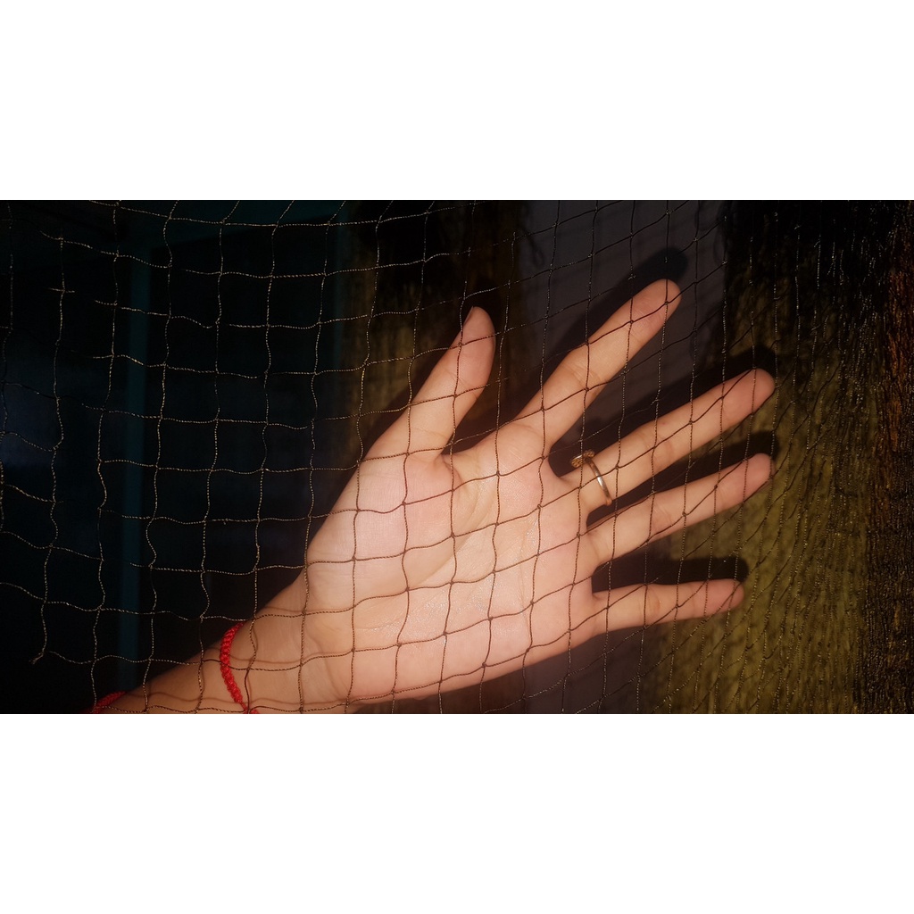 Lưới Dù Thái đánh rắn mắt lỗ 5 phân  chi tiết phần mô tả.