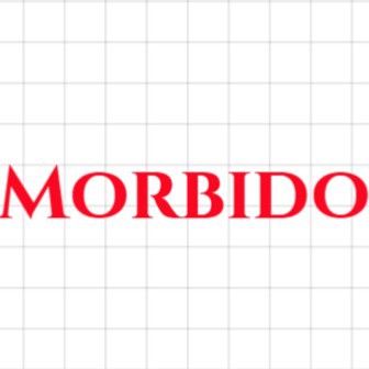 MORBIDO  SHOES
