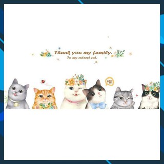 [XẢ HÀNG] Decal dán tường Mèo con ngộ nghĩnh số 3 - decal mèo con dễ thương amyshop