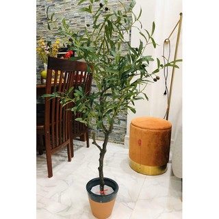 Cây Giả - Cây oliu giả cao 1m3 - Cao cấp