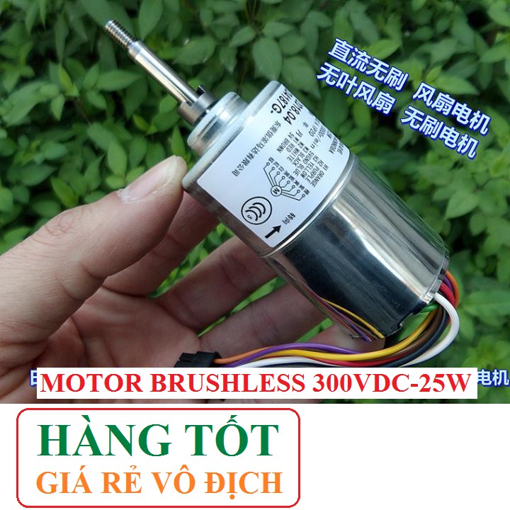 Động cơ từ Brushless phát điện 60w