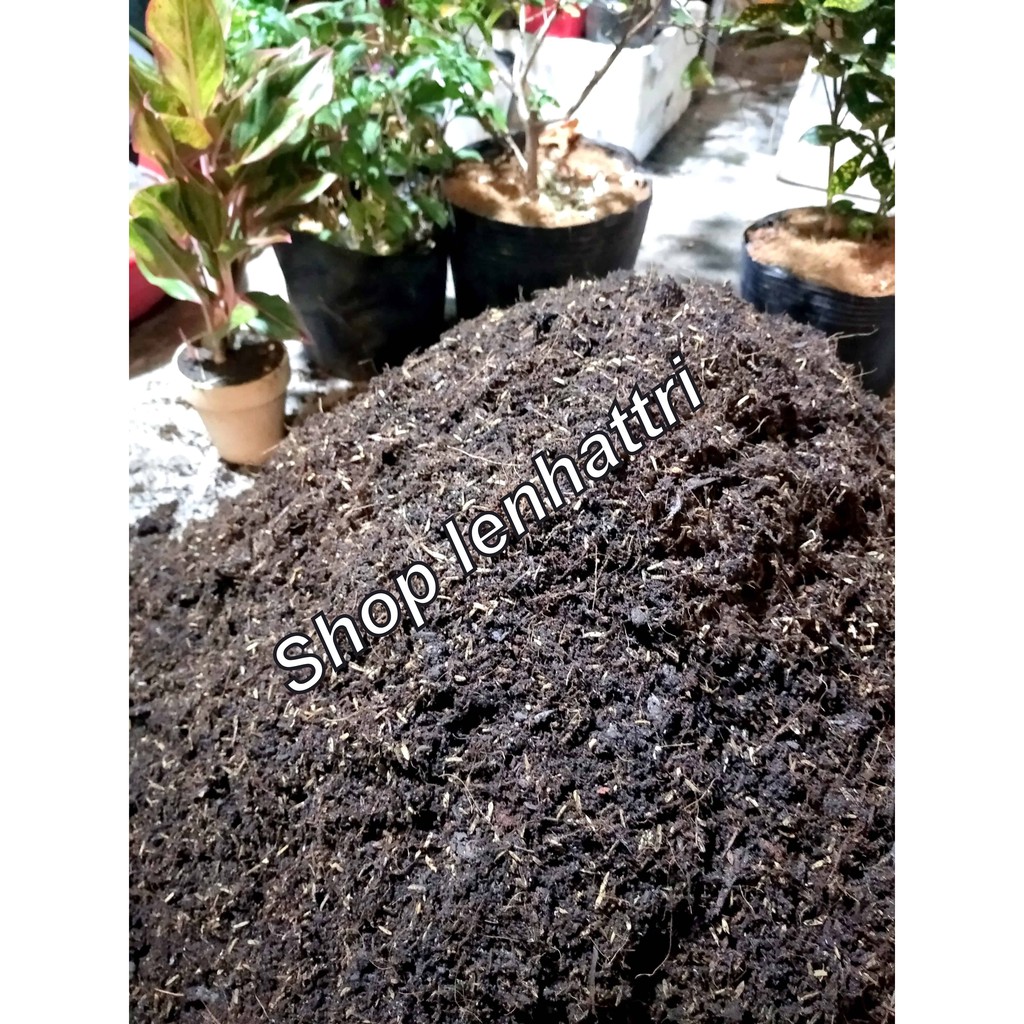 Đất trồng cây cảnh, đất trồng rau 2kg