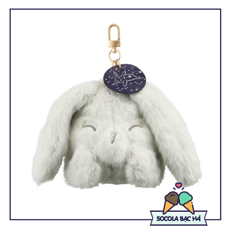 21 Autumn bunny pouch key chain
